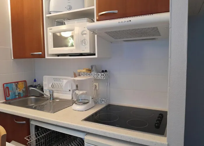 Appartement T2 Avec Piscine, Proche Et Centre, Sur - Fr-1-22-316